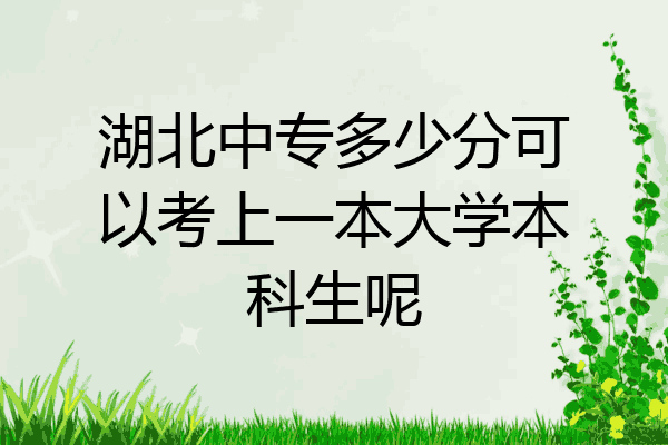 湖北中专多少分可以考上一本大学本科生呢