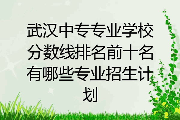 武汉中专专业学校分数线排名前十名有哪些专业招生计划
