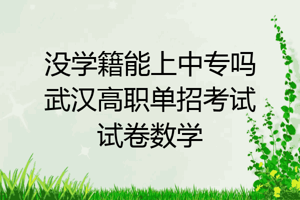 没学籍能上中专吗武汉高职单招考试试卷数学