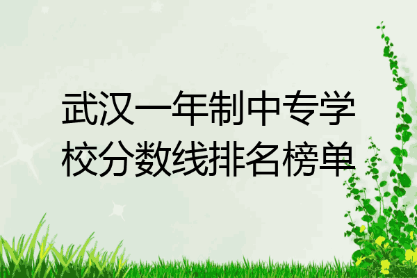 武汉一年制中专学校分数线排名榜单