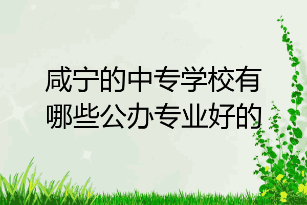 咸宁的中专学校有哪些公办专业好的