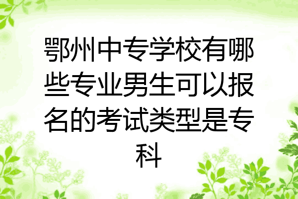 鄂州中专学校有哪些专业男生可以报名的考试类型是专科