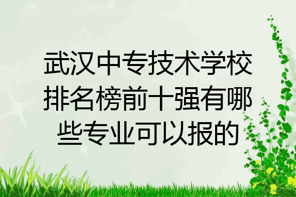 武汉中专技术学校排名榜前十强有哪些专业可以报的