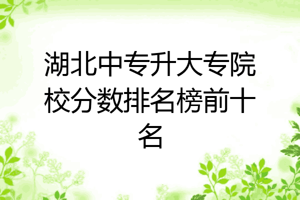 湖北中专升大专院校分数排名榜前十名
