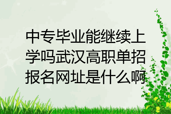 中专毕业能继续上学吗武汉高职单招报名网址是什么啊