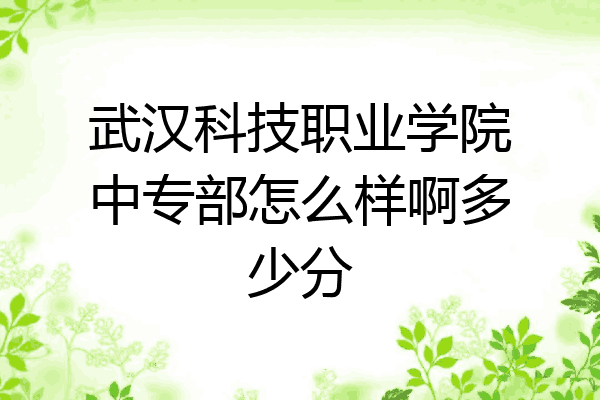 武汉科技职业学院中专部怎么样啊多少分
