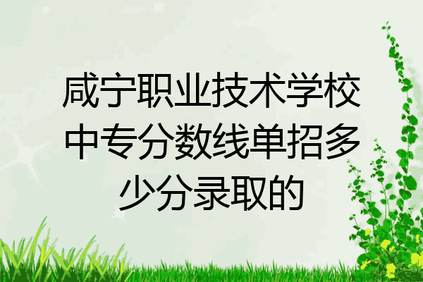 咸宁职业技术学校中专分数线单招多少分录取的