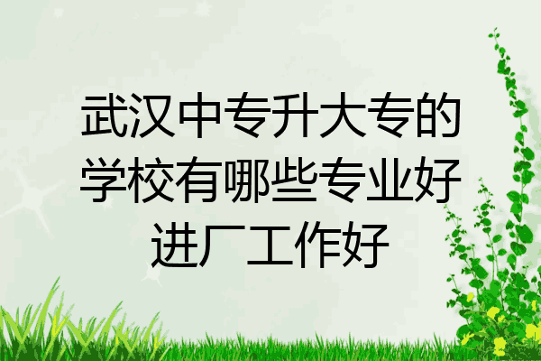 武汉中专升大专的学校有哪些专业好进厂工作好