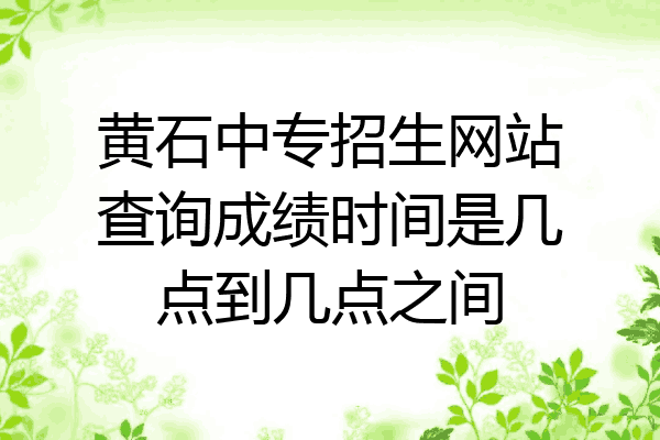 黄石中专招生网站查询成绩时间是几点到几点之间