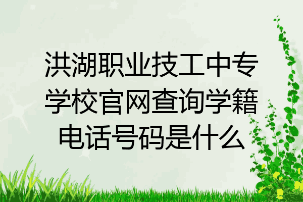洪湖职业技工中专学校官网查询学籍电话号码是什么