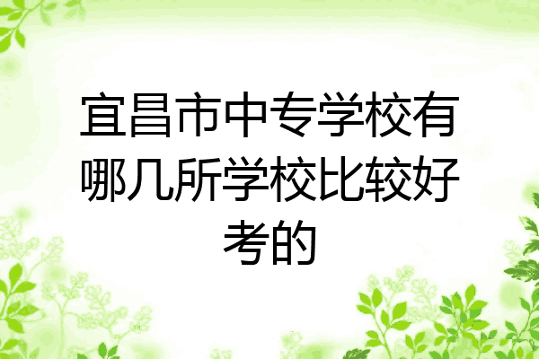 宜昌市中专学校有哪几所学校比较好考的