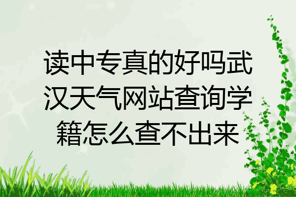 读中专真的好吗武汉天气网站查询学籍怎么查不出来