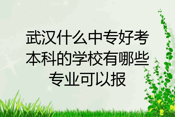 武汉什么中专好考本科的学校有哪些专业可以报
