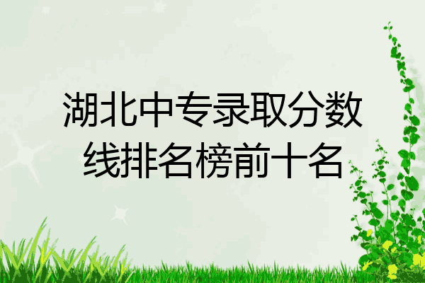 湖北中专录取分数线排名榜前十名