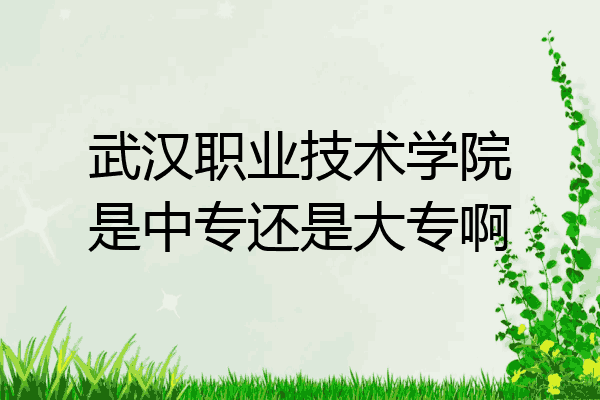 武汉职业技术学院是中专还是大专啊