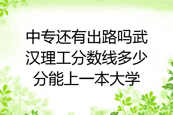 中专还有出路吗武汉理工分数线多少分能上一本大学