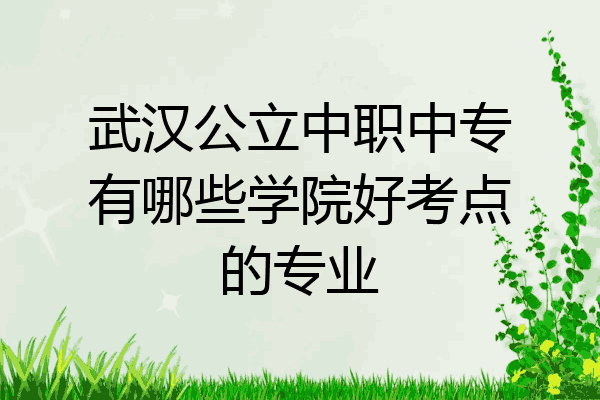 武汉公立中职中专有哪些学院好考点的专业