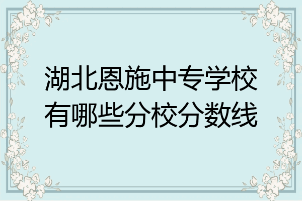 湖北恩施中专学校有哪些分校分数线