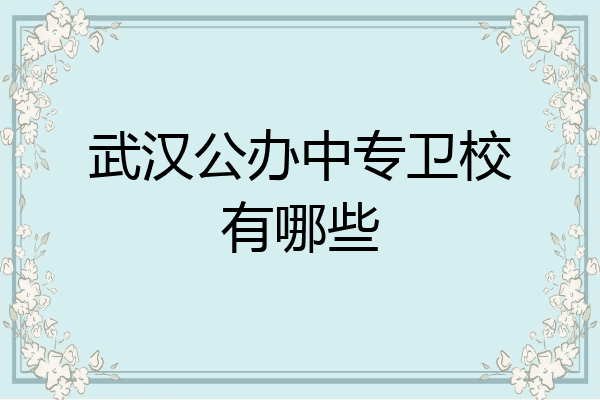 武汉公办中专卫校有哪些