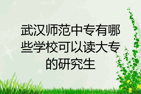 武汉师范中专有哪些学校可以读大专的研究生
