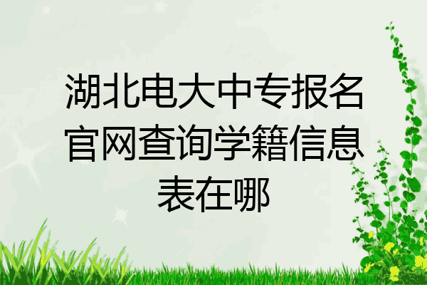 湖北电大中专报名官网查询学籍信息表在哪