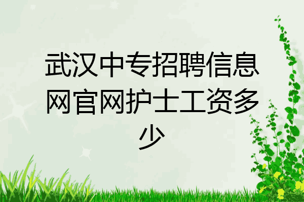 武汉中专招聘信息网官网护士工资多少