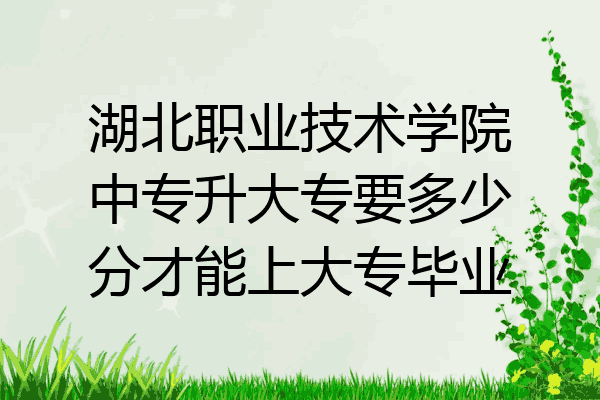 湖北职业技术学院中专升大专要多少分才能上大专毕业