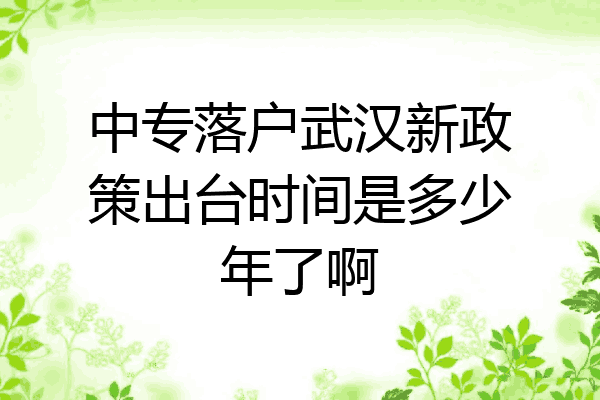 中专落户武汉新政策出台时间是多少年了啊