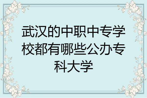 武汉的中职中专学校都有哪些公办专科大学