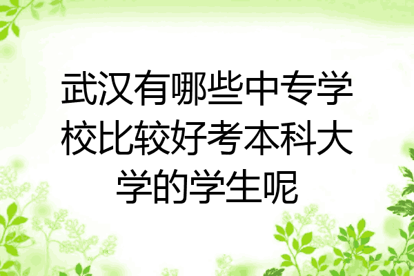 武汉有哪些中专学校比较好考本科大学的学生呢
