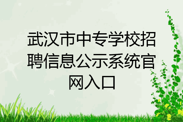 武汉市中专学校招聘信息公示系统官网入口