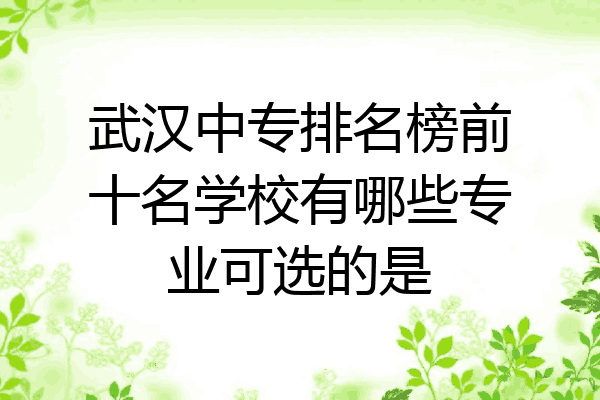 武汉中专排名榜前十名学校有哪些专业可选的是