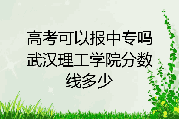 高考可以报中专吗武汉理工学院分数线多少