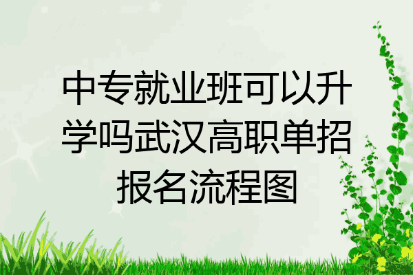 中专就业班可以升学吗武汉高职单招报名流程图