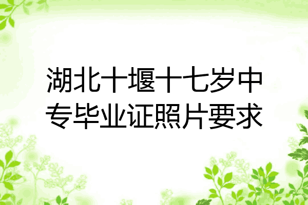 湖北十堰十七岁中专毕业证照片要求