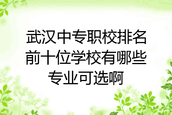 武汉中专职校排名前十位学校有哪些专业可选啊
