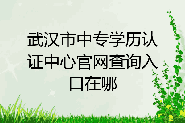 武汉市中专学历认证中心官网查询入口在哪