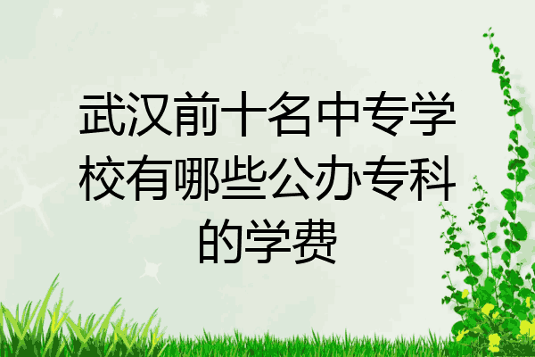 武汉前十名中专学校有哪些公办专科的学费