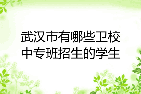 武汉市有哪些卫校中专班招生的学生
