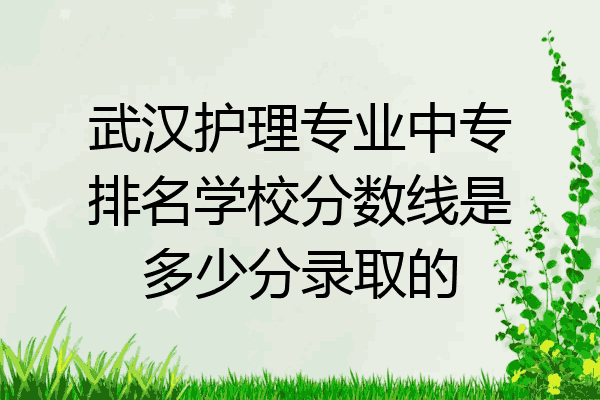 武汉护理专业中专排名学校分数线是多少分录取的