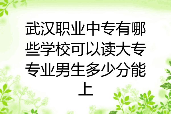 武汉职业中专有哪些学校可以读大专专业男生多少分能上