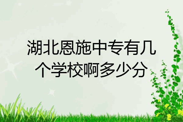 湖北恩施中专有几个学校啊多少分