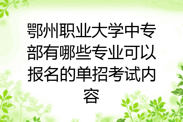 鄂州职业大学中专部有哪些专业可以报名的单招考试内容