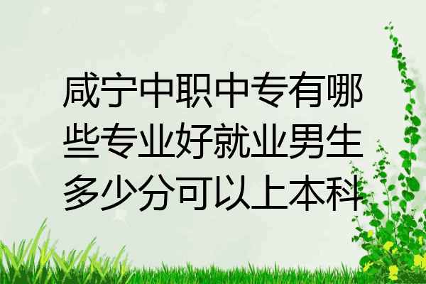 咸宁中职中专有哪些专业好就业男生多少分可以上本科