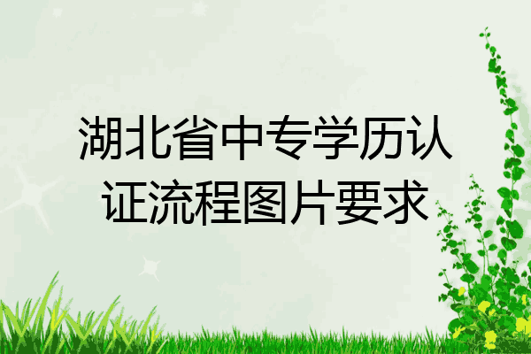 湖北省中专学历认证流程图片要求