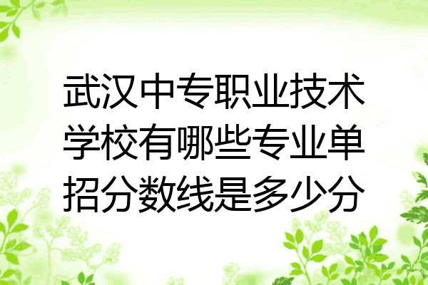 武汉中专职业技术学校有哪些专业单招分数线是多少分