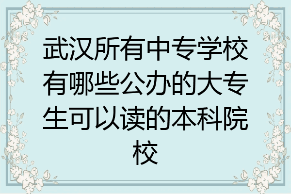 武汉所有中专学校有哪些公办的大专生可以读的本科院校