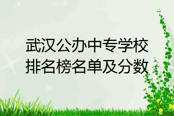 武汉公办中专学校排名榜名单及分数