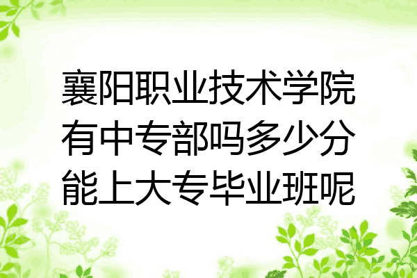 襄阳职业技术学院有中专部吗多少分能上大专毕业班呢