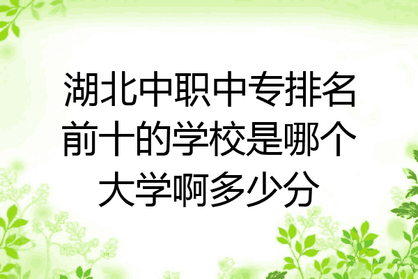 湖北中职中专排名前十的学校是哪个大学啊多少分